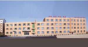 松原市寧江區第六國小 松原市寧江區第六國小