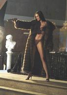 霹靂嬌娃2：全速進攻