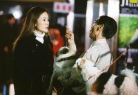 《張燈結彩之歡歡樂樂》