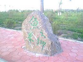 樺樹林子鄉 樺樹林子鄉