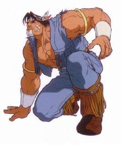 獵鷹[格鬥遊戲《街頭霸王》角色]