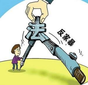 中華人民共和國反家庭暴力法