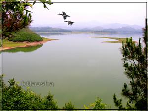 會飛的家鄉 會飛的家鄉