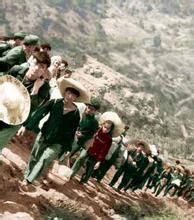 重慶新知青運動 重慶新知青運動