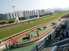 沙田馬場-彭福公園