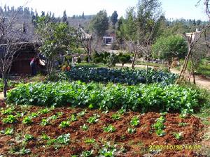 復興行政村概況