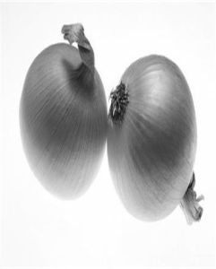 洋蔥先期抽薹現象 洋蔥先期抽薹現象