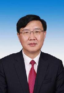 吳剛平[貴州省安順市委副書記]