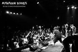 蘑菇兔子 蘑菇兔子