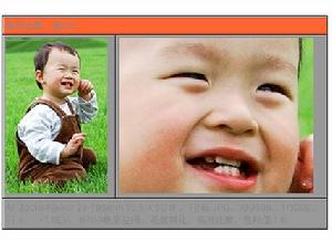 尼康 D1X----實拍效果