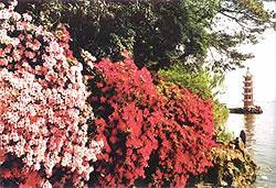 蠡園風景區 蠡園風景區