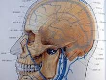 海綿竇血栓性靜脈炎 海綿竇血栓性靜脈炎