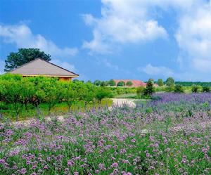 蘇州太湖綠光休閒農場