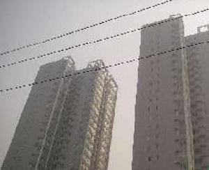 世新家園 世新家園