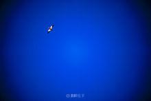 長白島[吉林長白島]