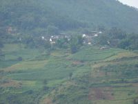 老茶寨自然村 老茶寨自然村