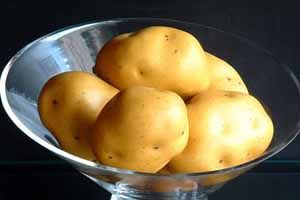 澱粉可以預防結腸癌