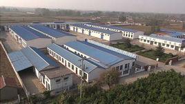 山東糧油集團有限公司 山東糧油集團有限公司