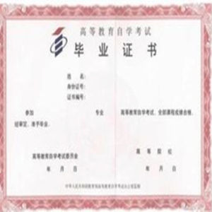 自考本科 自考本科