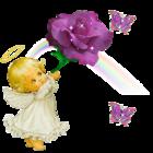 《最後一封情書》 《最後一封情書》