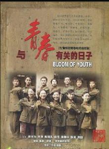 與青春有關的日子[2006年葉京執導電視劇]