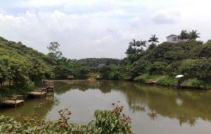 瑞豐農莊 瑞豐農莊