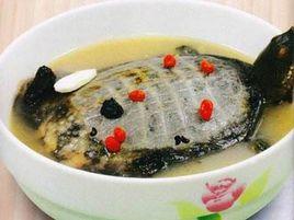 杞子燉甲魚 杞子燉甲魚