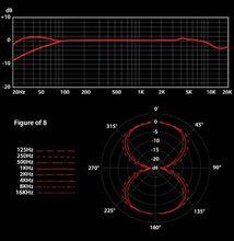 頻率回響和指向性圖