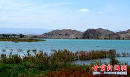 甘肅省濕地保護管理中心 甘肅省濕地保護管理中心