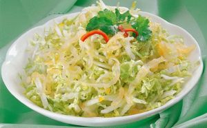 涼拌蘿蔔白菜絲 涼拌蘿蔔白菜絲