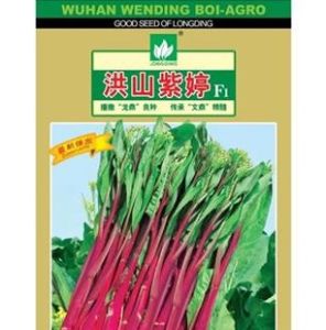 鼎秀紅婷 鼎秀紅婷