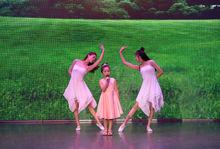 26《大風吹》劉姵賢