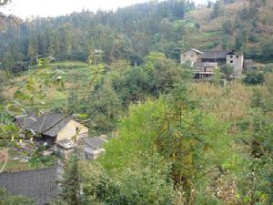 魚井壩自然村 魚井壩自然村