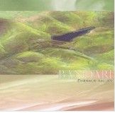 《翡翠谷Emerald Valley》