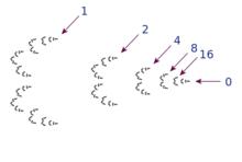 2進數里的整數，詳見