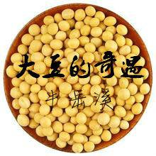 大豆的奇遇 大豆的奇遇