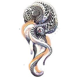 侵蝕者[數碼寶貝中數碼生命體]