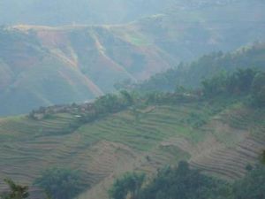 丙茂自然村 丙茂自然村