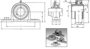 RIV 14DAVZ軸承尺寸圖紙