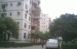 立新湖花園 立新湖花園