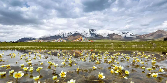 青海,不止有青海湖!