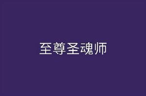 至尊聖魂師 至尊聖魂師