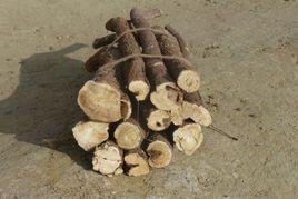 梁外甘草 梁外甘草