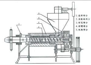 壓榨機結構圖