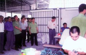 1999年9月19日台山市人大常委會組成人員視察市戒毒所