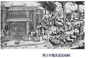 世界動物園的發展