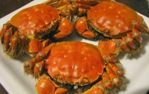 永陽酒店 永陽酒店