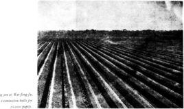 河南貢院 河南貢院