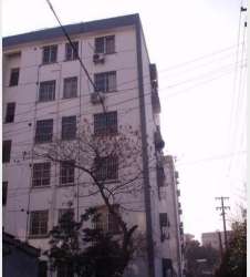 友新路425號 友新路425號