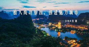 城市品牌DNA模式 城市品牌DNA模式